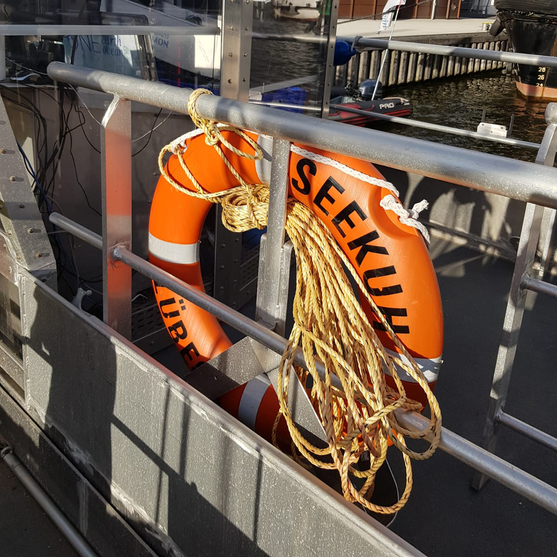 Fahrrad-Challenge 'Strampeln für die SeeKuh'